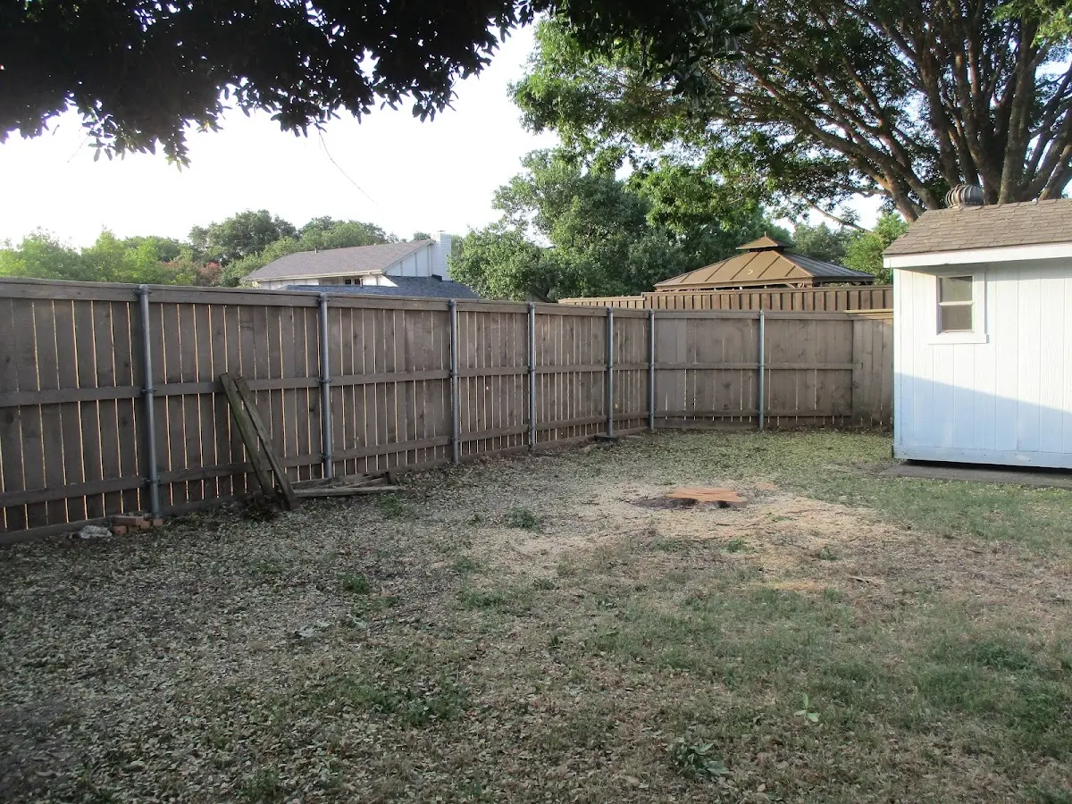 Cleared yard after professional tree removal in Plympton